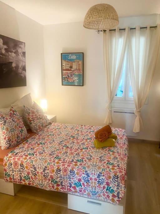 Appartement Neuf Cosy Centre Ville Quartier Haut แซ็ต ภายนอก รูปภาพ
